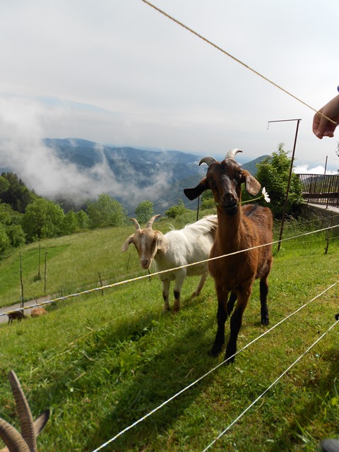 DSCN0836